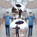 영상화원 이미지