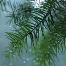 새솔고등학교 이미지