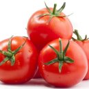 토마토휘트니스 이미지