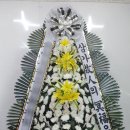 언양요양병원 이미지