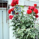 용산-226 이미지