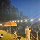 막지리184 이미지