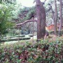 자산솔밭공원 이미지