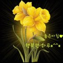 어쩌다가 이미지