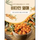 열매 - 목포시 원산로 107 | 열매