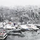 신년해맞이축제 이미지