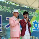 차차차 Daum카페