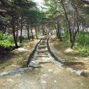 세종대왕자 태실 이미지