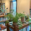 주)디섹 | [전주] 조용히 혼자만의 시간 보내기 좋은 공간 '살림책방'