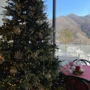 낙동강변로7-15 | 가평 대형카페 골든트리 북한강 뷰 애견동반 가능한 크리스마스 분위기 카페 솔직 후기