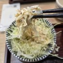 쇼신 | 운정 스타필드 돈카츠 카츠쇼신 방문 내돈내산 후기