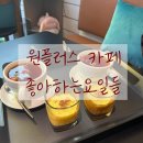 원플러스 | 시장 근처 베트남 사장님이 계신 베트남 느낌 짱짱 카페 원플러스 :: 내돈내산 후기, 에그커피, 영업시간