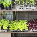 양천2농장 이미지