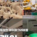 투리짓(2LEGIT)