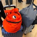 크리스탈약국 | 12월 태국 방콕 치앙마이 2주 여행 준비 (비행기, 숙소, 예산, esim 등)