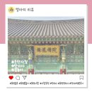 만의사 | 가족들이랑 꽃놀이 다녀온 동탄 사찰 만의사 방문 후기