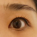 고운동 남측 복합커뮤니티센터 | 세종속눈썹펌 자연스러운 뷰러펌을 원하면 고운동속눈썹펌 오늘도 예쁜눈