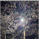 천마 태권도 이미지