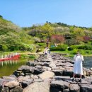 충북 진천 가볼만 한곳 ㅡ 전설의 농다리 ㅡ 충북 진천 초평호를 가로지르는 출렁다리 초평호 미르309ㅡ 이미지