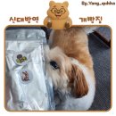 신대방역 애견 수제간식 애견용품 전문점! [개빵집] 내돈내산 후기