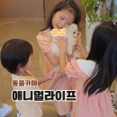 애니멀하우스 | 충북 음성 카페 데이트 충주 근처 가볼만한곳 실내 애니멀라이프 후기
