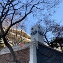 장영심 가마솥 곰탕