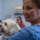 코지동물의료센터 서구청점 이미지