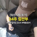 처가집통 | [임신기록/후기]34주 임산부 조기진통 퇴원 후 일상 | 자궁경부길이 2.2cm, 출산 전 집에서 보내는 시간