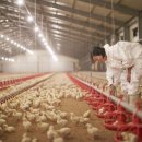 태주농장 이미지