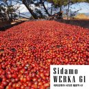 13월의 태양 이미지