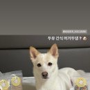 머거두댕 네이버블로그