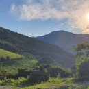 장선목장 이미지