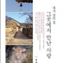 삼호건축사사무소 - 서초구 사임당로 39 | 삼호건축사사무소