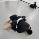 가오리주짓수 네이버블로그