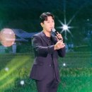 파리스토 이미지