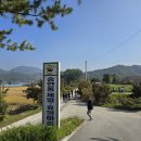 승안동녹색체험관 | 승안동 치유마을에서의 고구마캐기