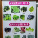 제주유기농쌈밥촌용전점 이미지