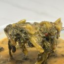 명품우렁추어탕 이미지