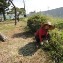 조경농장 이미지