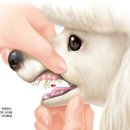 로얄에이알씨(주) 이미지