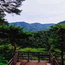 계곡사랑 이미지