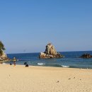 천연염색머리방 Daum카페