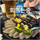 별뜨는밤 | [부평역] 회뜨는중 부평점, 루프탑 있는 부평 횟집 광어소금김밥 후기