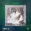 사월의눈