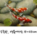 서울구일초등학교 이미지