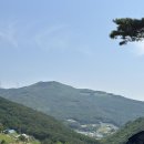미랑목장 네이버블로그