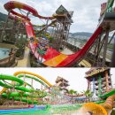 롯데워터파크 이미지