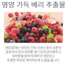 (주)레드팩 | [내돈내산] 각질 관리 1분이면 끝! 쏘내추럴 레드 필 팅글 세럼 솔직 후기