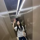 성수면 야구장 이미지