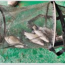 삼인낚시터 이미지